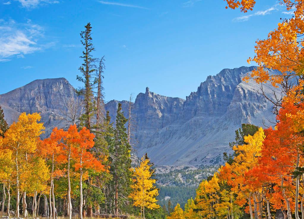 大盆地国家公园的山脉和秋天的树木